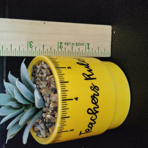 Planter for teacher with faux succulent - Picture 8 of 11